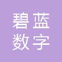 太原碧蓝数字科技有限公司