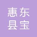 惠东县宝口镇人民政府
