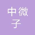 湖南中微子科技有限公司