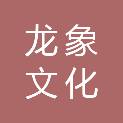 深圳市龙象文化发展有限公司