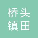 东莞市桥头镇田新股份经济联合社