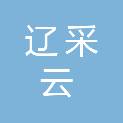 大连辽采云信息技术有限公司