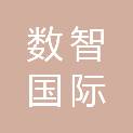 深圳数智国际人才发展有限公司