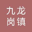淮南市九龙岗镇人民政府