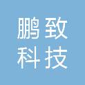 江西鹏致科技有限公司