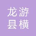 龙游县横山镇大平坂村股份经济合作社