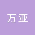 安阳万亚信息技术有限公司