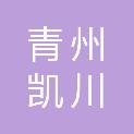 青州凯川工程劳务有限公司