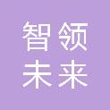 深圳市智领未来教育科技有限公司