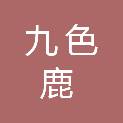 河南九色鹿文化传播有限公司