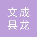 文成县龙耀建设有限公司