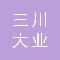 山西三川大业信息科技有限公司