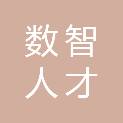 数智人才（成都）科技有限公司