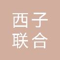 河南西子联合机电工程有限公司