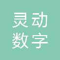 灵动数字（福建）创意设计有限公司