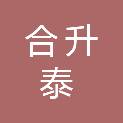 山东合升泰医疗科技有限公司