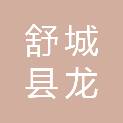 安徽省舒城县龙河中学