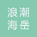 深圳浪潮海岳人力资源技术有限公司