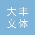 浙江大丰文体设施维保有限公司