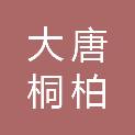 大唐桐柏新能源有限责任公司