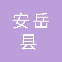 安岳县李家镇人民政府