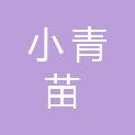 深圳市小青苗文化咨询有限公司