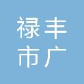 禄丰市广通镇人民政府