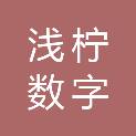 河南浅柠数字科技有限公司