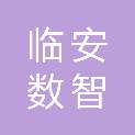 杭州临安数智城市发展有限公司