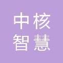 中核智慧环境科技有限公司