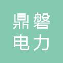 江苏鼎磐电力科技有限公司