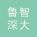 山东鲁智深大数据有限公司
