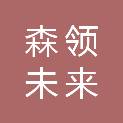 合肥森领未来信息科技有限公司